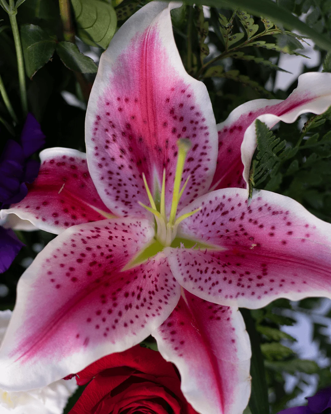 Flowers El Ranchito cookie settings and privacy controls for customers browsing floral delivery options in the San Fernando Valley